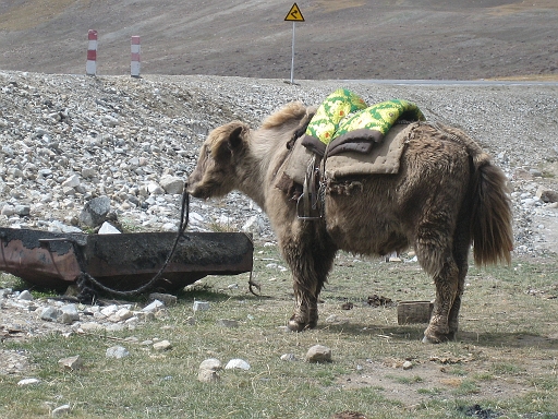 09.09.2007 08-19-34.jpg